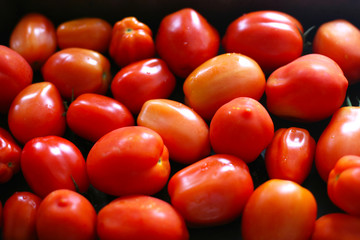 Fresh tomatoes from the garden, in a baking tray