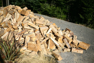 Winter timber logs cut and ready for burning