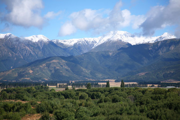 Fototapeta premium View of the Southern Alps near Hanmer Springs, New Zealand, in summer looking across the North Canterbury Plains
