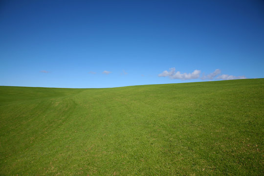 Classic Windows XP blue sky and green rolling hills