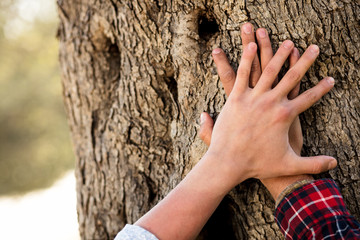 Man put hand on old tree trunk. Male palm on aged oak tree bark.