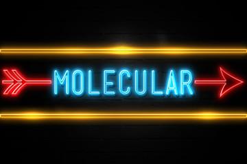 Molecular  - fluorescent Neon Sign on brickwall Front view