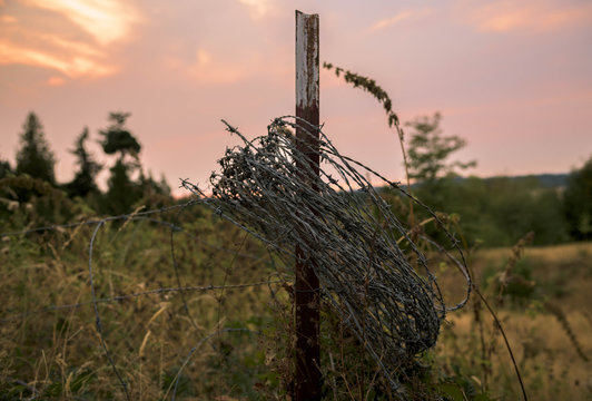 Barbed wire hung on an old fence post on a farm in Washington