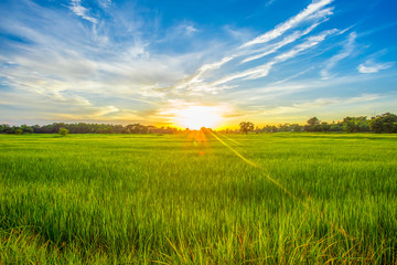 Dawn, Dusk, Field, Land, Meadow