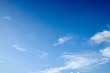 blue sky with white cloud