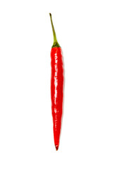 Red chile pepper bitter on white background