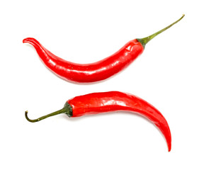 Red chile pepper bitter on white background