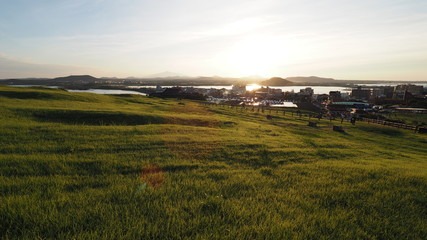 Fototapeta premium OLYMPUS DIGITAL CAMERA