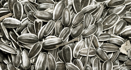 sunflower seeds gray background