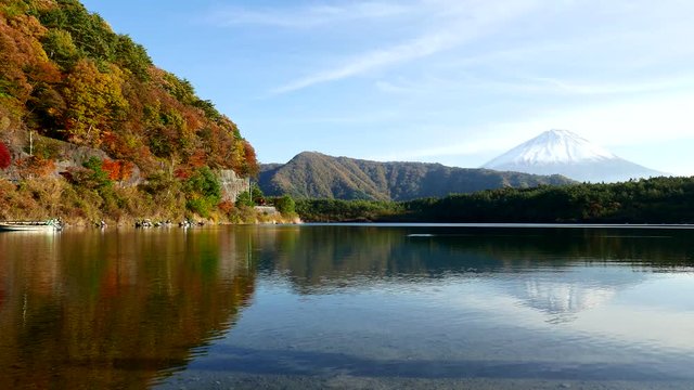 Mountain Fuji and saiko in autumn
