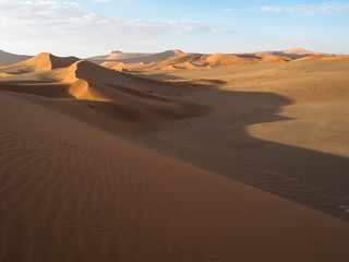 Fototapeta na wymiar Beautiful natural curved ridge line and wind blow pattern of rusty red sand dune with soft shadow on vast desert landscape, Sossus, Namib desert