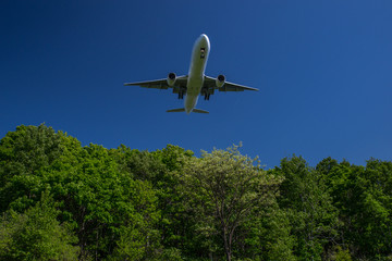 Fototapeta na wymiar 新緑と飛行機