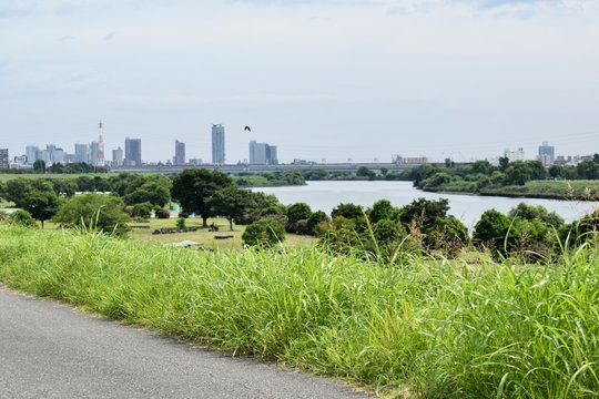 【埼玉県戸田市】荒川河川敷 戸田橋方面
