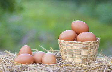 Good quality chicken eggs in basket with straw at local farm in Thailand. Close-up and blur chicken background. (Rhode Island Red)