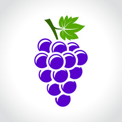 wine grapes icon concept