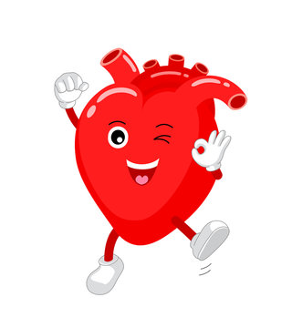 Cute and funny, smiling red heart character. Human internal organ mascot showing okay hand sign. Health-care concept, vector illustration isolated on white background.