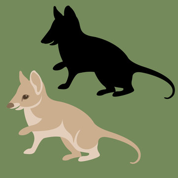 Rodent Quokka  Vector Illustration  Black Silhouette Style Flat