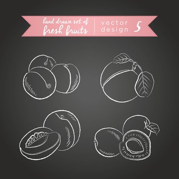 Apricot. Set of fresh fruits, whole, half and bitten with leaf. Vector illustration. Isolated on blackboard