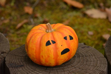 Fototapeta premium ハロウィン