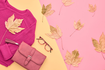 Autumn Arrives. Fashion Lady Clothes Set. Trendy Cozy Knit Jumper. Fashion Stylish Handbag Clutch, Vintage Glasses. Fall autumn Leaves. Vanilla Pastel colors.