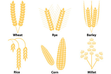 Wheat, corn, rice, barley, millet