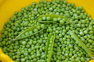 Fototapeta na wymiar Green peas. Fresh Homemade Peas. Peas in cinnamon