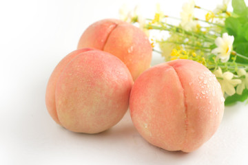 honey peach