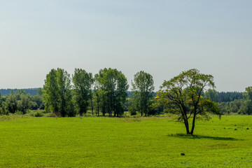The natural landscape and clouds. 