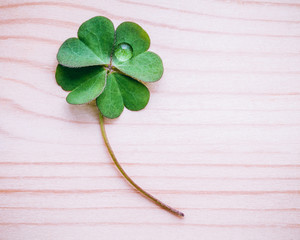 Clover leaves on shabby wooden background. The symbolic of Four Leaf Clover the first is for faith,...