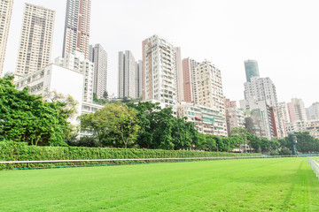 Obraz premium racecourse in Hong Kong