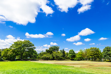 青空が広がる住宅街の公園
