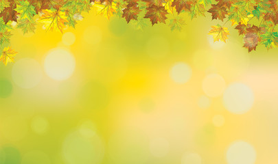 Obraz na płótnie Canvas Vector autumnal leaves border, bokeh background.