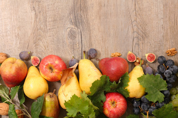 autumn fruits