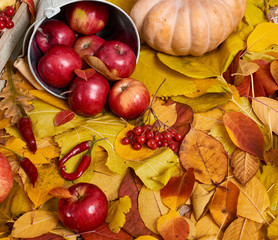 Naklejka na ściany i meble Autumn background from yellow leaves, apples, pumpkin. Fall season, eco food and harvest concept