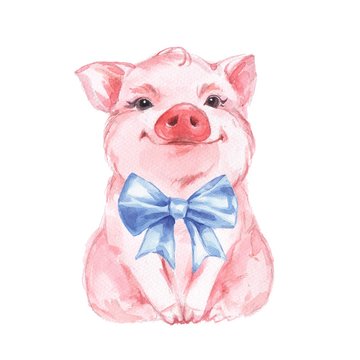 Funny pig and blue bow. Isolated on white. Cute watercolor illustration