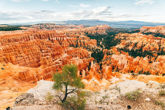amazing view of bryce canyon national park, utah 