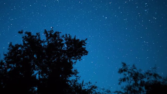 Moving Stars in Night Sky over Trees. Time Lapse. Starry sky rotates against a silhouette of trees.