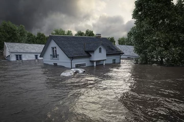 Foto op Aluminium 3d rendering. flooding houses © 2mmedia
