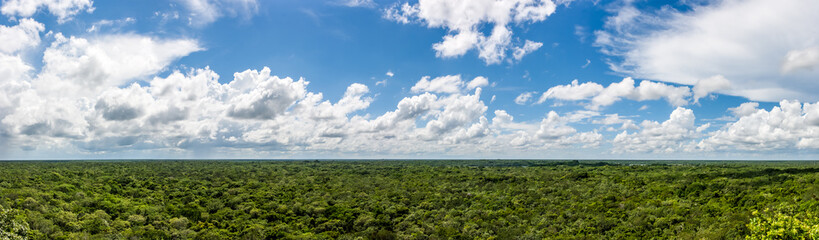 Fototapeta na wymiar Panorama from the top of the Cobà pyramid, Cobà archaeological site, Quintana Roo, Mexico.