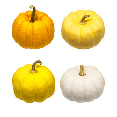 4 in 1 pumpkins isolated on white background with clipping path