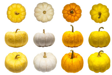 Big set of colorful pumpkin isolated on white background with clipping path.