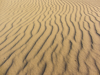 yellow sand moved by the wind
