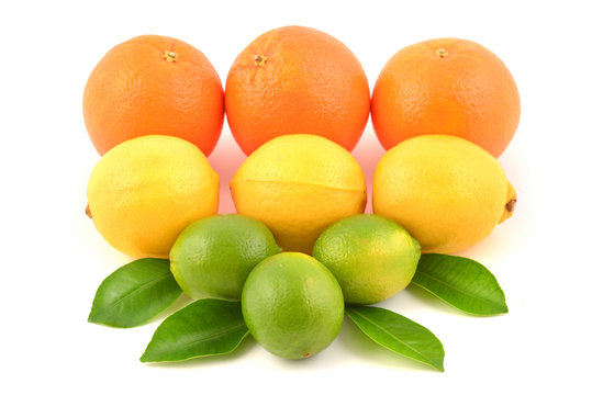 Citrus fruits, isolated on white.