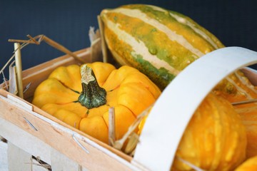 Autumn pumpkin decor close up