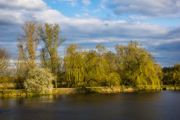 Landscape with pond in Zalesie Dolne, Poland