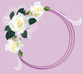 white rose flowers in circle frame isolated on pink