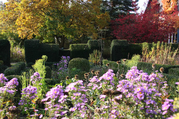 Herbst im Bauerngarten