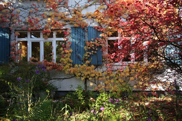 Herbst im Naturgarten