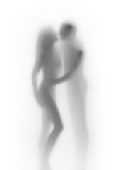 Fototapeta premium Body silhouette of sexy lover couple, behind a diffuse surface