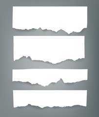 Set of blank Torn paper sheets. Vector note pieces collection with sticky tape.